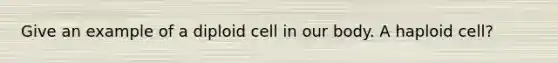 Give an example of a diploid cell in our body. A haploid cell?