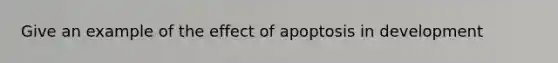 Give an example of the effect of apoptosis in development