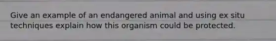 Give an example of an endangered animal and using ex situ techniques explain how this organism could be protected.