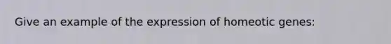 Give an example of the expression of homeotic genes: