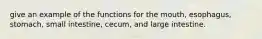 give an example of the functions for the mouth, esophagus, stomach, small intestine, cecum, and large intestine.