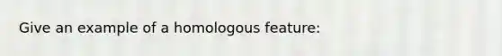 Give an example of a homologous feature: