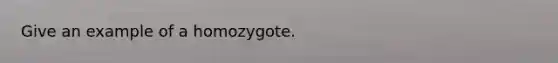 Give an example of a homozygote.