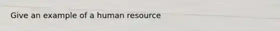 Give an example of a human resource