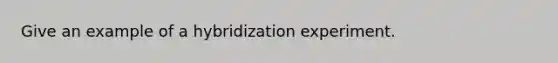 Give an example of a hybridization experiment.