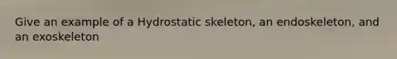 Give an example of a Hydrostatic skeleton, an endoskeleton, and an exoskeleton