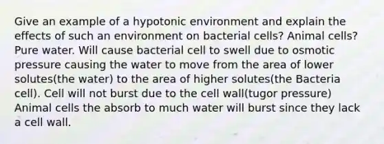 Give an example of a hypotonic environment and explain the effects of such an environment on bacterial cells? Animal cells? Pure water. Will cause bacterial cell to swell due to osmotic pressure causing the water to move from the area of lower solutes(the water) to the area of higher solutes(the Bacteria cell). Cell will not burst due to the cell wall(tugor pressure) Animal cells the absorb to much water will burst since they lack a cell wall.