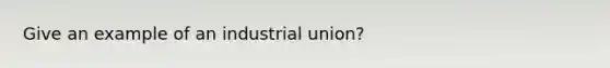 Give an example of an industrial union?