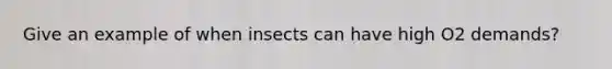 Give an example of when insects can have high O2 demands?