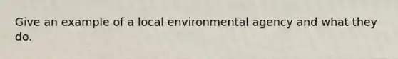 Give an example of a local environmental agency and what they do.