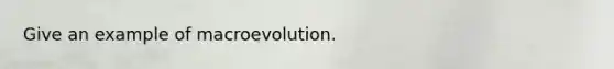 Give an example of macroevolution.