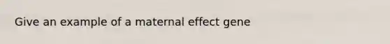 Give an example of a maternal effect gene