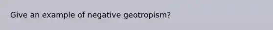 Give an example of negative geotropism?