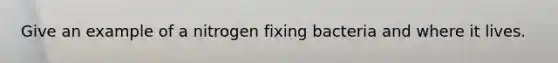 Give an example of a nitrogen fixing bacteria and where it lives.