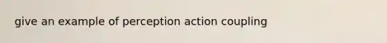 give an example of perception action coupling