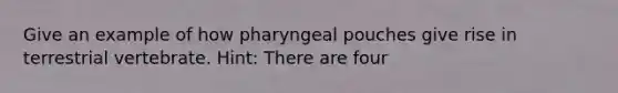 Give an example of how pharyngeal pouches give rise in terrestrial vertebrate. Hint: There are four