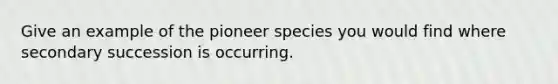 Give an example of the pioneer species you would find where secondary succession is occurring.