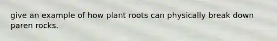 give an example of how plant roots can physically break down paren rocks.