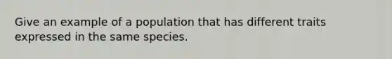 Give an example of a population that has different traits expressed in the same species.