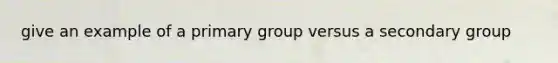 give an example of a primary group versus a secondary group