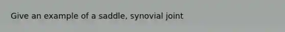 Give an example of a saddle, synovial joint