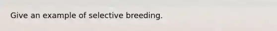 Give an example of selective breeding.