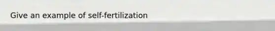 Give an example of self-fertilization
