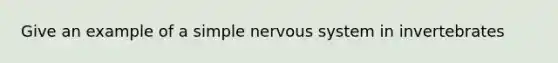 Give an example of a simple nervous system in invertebrates