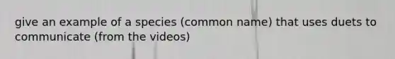 give an example of a species (common name) that uses duets to communicate (from the videos)