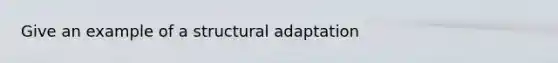 Give an example of a structural adaptation