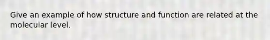 Give an example of how structure and function are related at the molecular level.