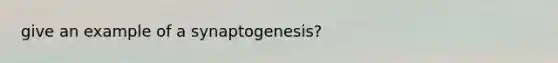 give an example of a synaptogenesis?