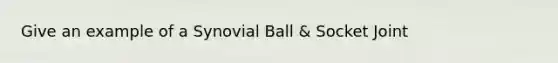 Give an example of a Synovial Ball & Socket Joint