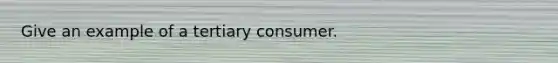 Give an example of a tertiary consumer.