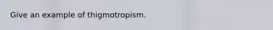 Give an example of thigmotropism.