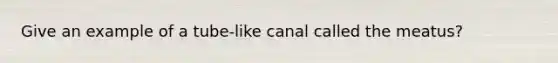 Give an example of a tube-like canal called the meatus?