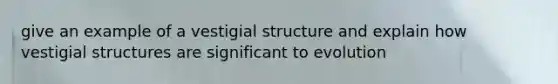 give an example of a vestigial structure and explain how vestigial structures are significant to evolution