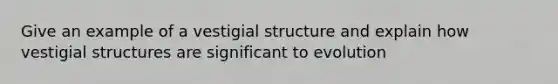 Give an example of a vestigial structure and explain how vestigial structures are significant to evolution