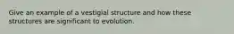 Give an example of a vestigial structure and how these structures are significant to evolution.