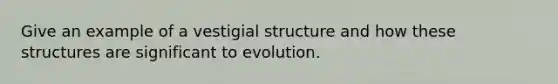 Give an example of a vestigial structure and how these structures are significant to evolution.