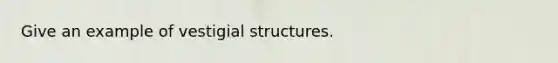 Give an example of vestigial structures.