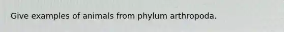 Give examples of animals from phylum arthropoda.