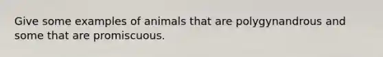 Give some examples of animals that are polygynandrous and some that are promiscuous.