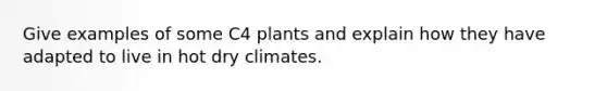 Give examples of some C4 plants and explain how they have adapted to live in hot dry climates.