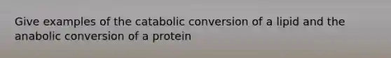 Give examples of the catabolic conversion of a lipid and the anabolic conversion of a protein