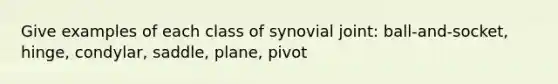 Give examples of each class of synovial joint: ball-and-socket, hinge, condylar, saddle, plane, pivot