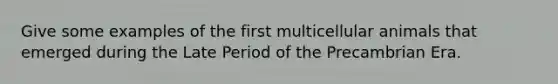 Give some examples of the first multicellular animals that emerged during the Late Period of the Precambrian Era.