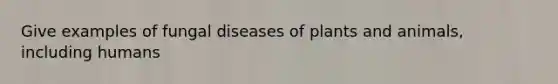 Give examples of fungal diseases of plants and animals, including humans