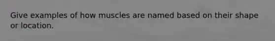 Give examples of how muscles are named based on their shape or location.