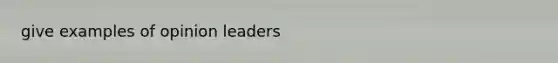 give examples of opinion leaders